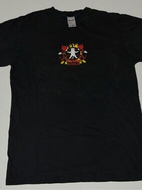 Ripndip Mens Black Tee with Colorful Flame & Devil Graphic “world industries”